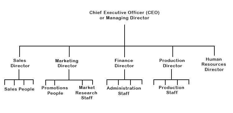 chain-of-command-mammoth-memory-definition-remember-meaning